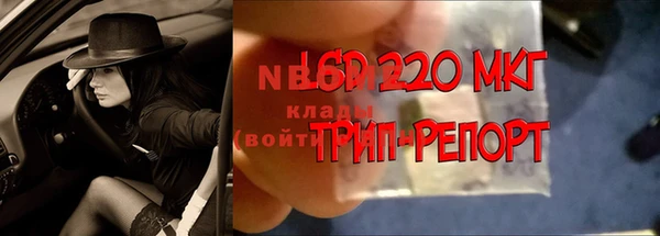 кокс Алзамай