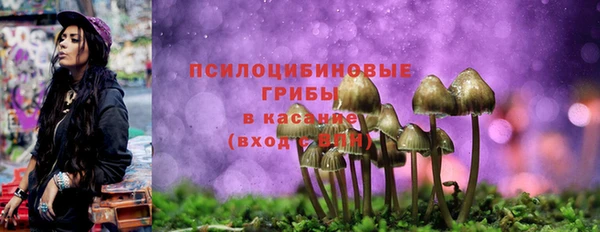 кокс Алзамай