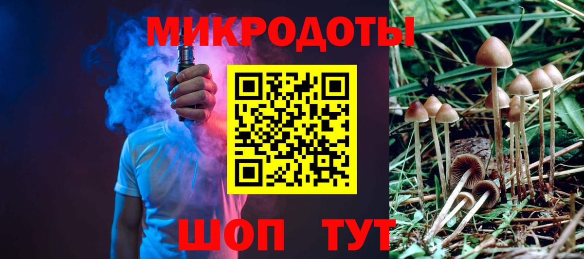 Галлюциногенные грибы Psilocybe  Вход с VPN  Ревда 